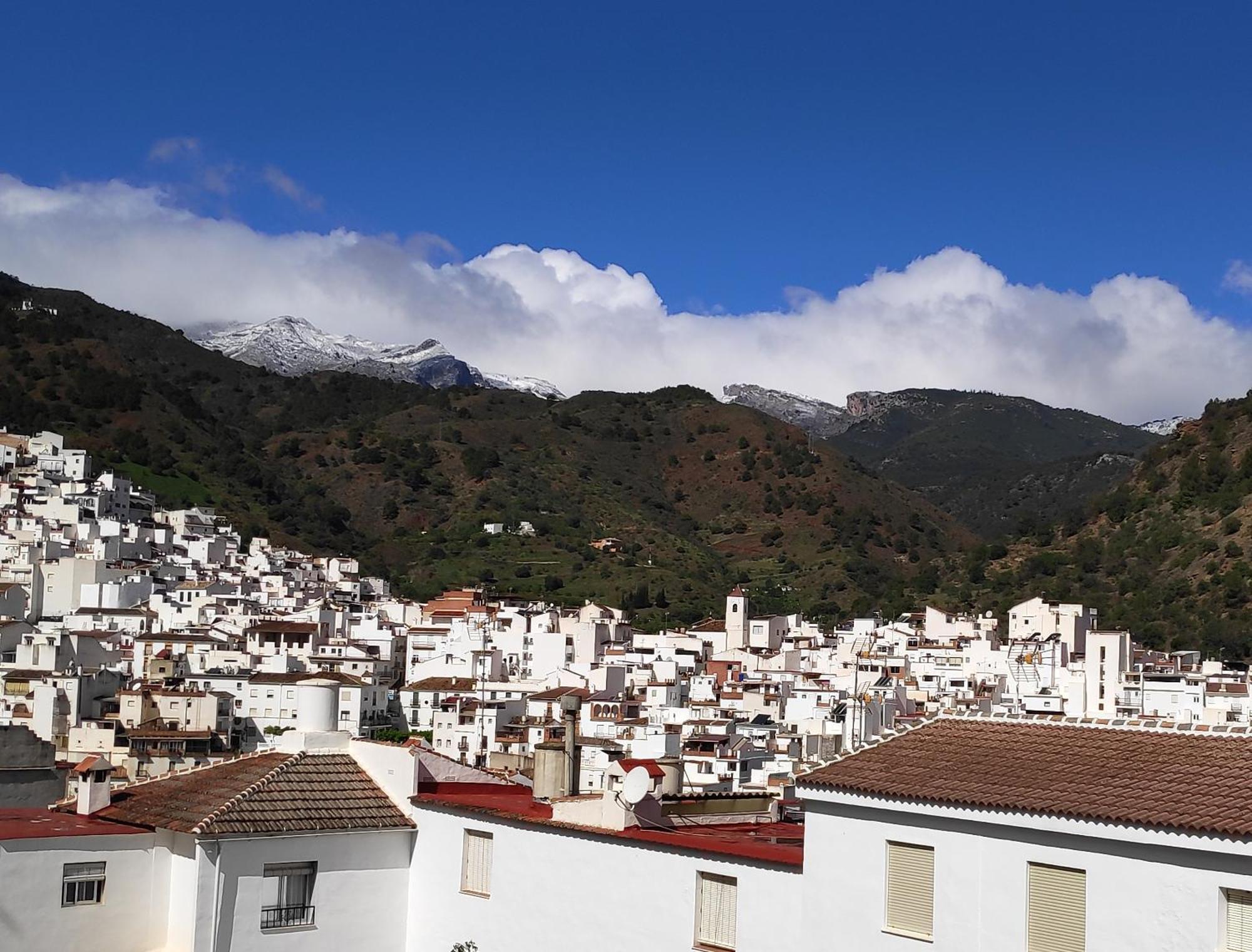 Apartamento El Almencino Tolox Bagian luar foto